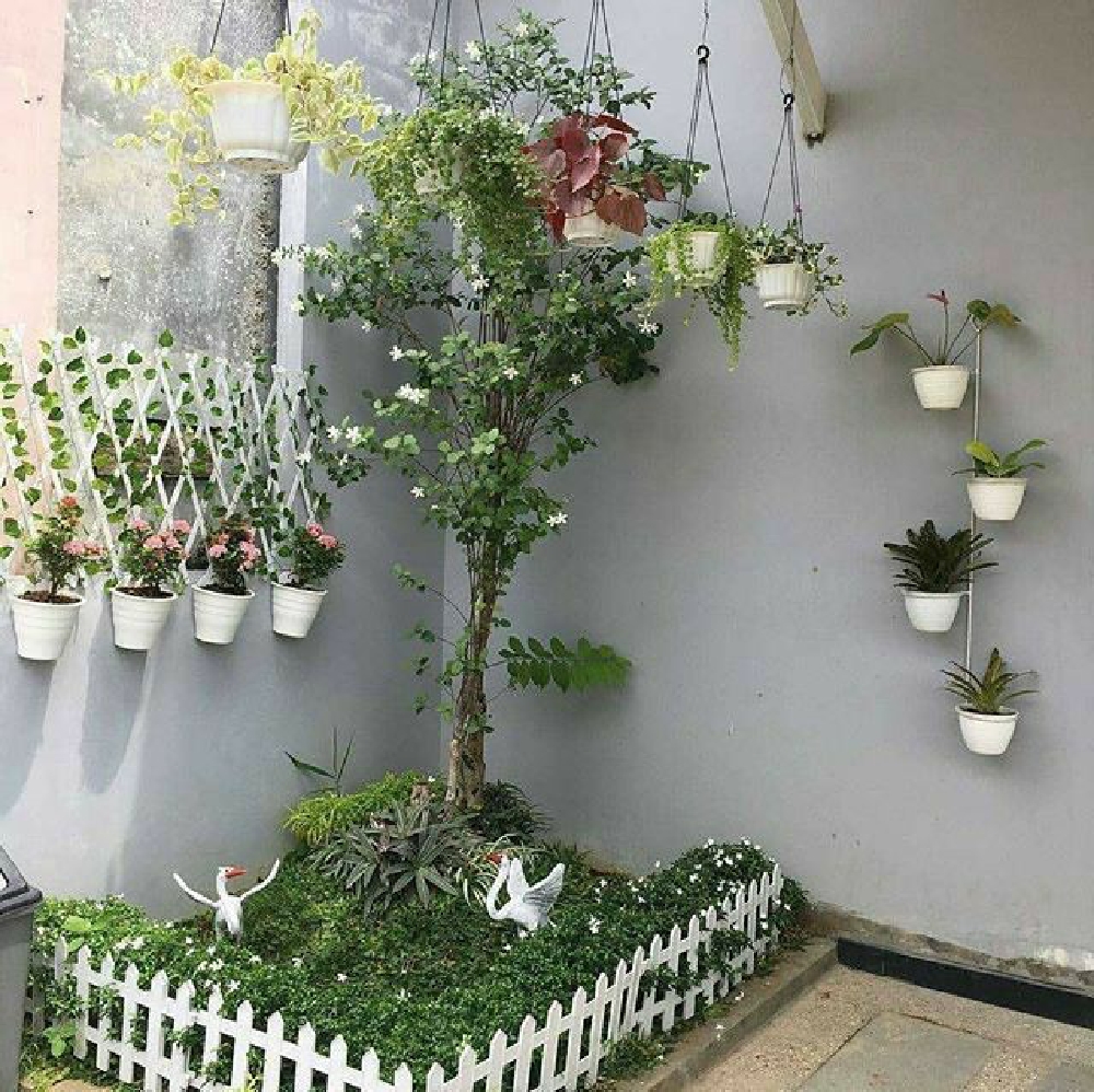 Cara Praktis Rangkai Taman Mini di Rumah
