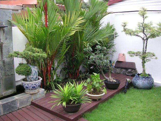 Cara Praktis Rangkai Taman Mini di Rumah
